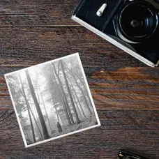 Lucky Mfg. Co. Folklore Taylor Swift Album Magnet