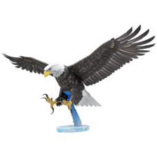 American Bald Eagle