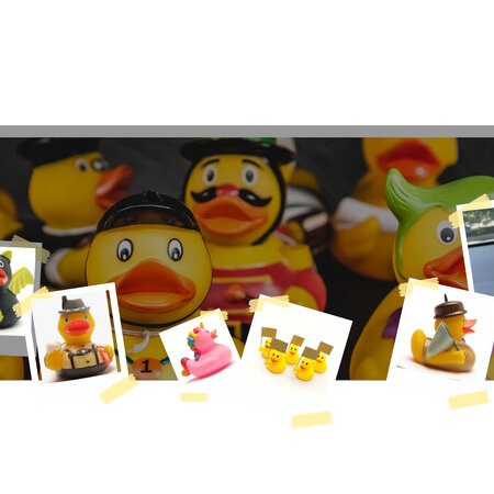 Ducks, Ducks and more Ducks