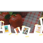 Funny Towels Collection