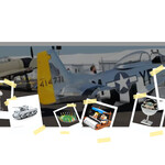 Fascinations Collection