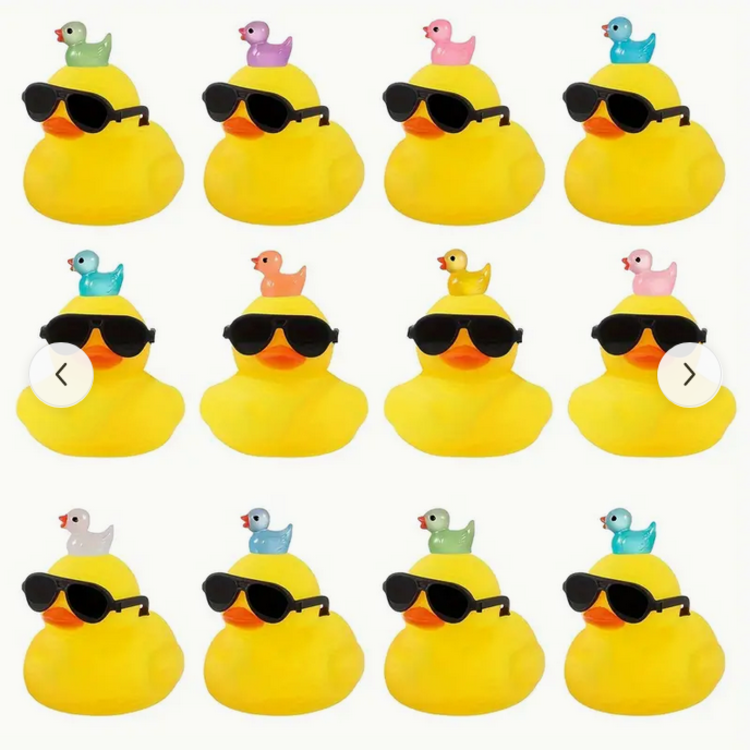 Mini Sunglass Duck with Baby Duck