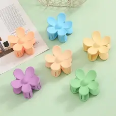 Small Random Color Claw Clips