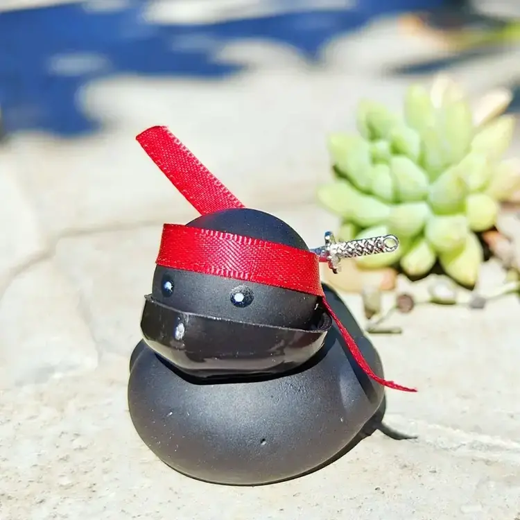 Mini Ninja Duck