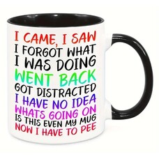 Mug I came I saw i forgot