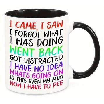 Mug I came I saw i forgot