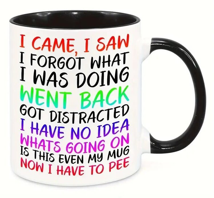 Mug I came I saw i forgot