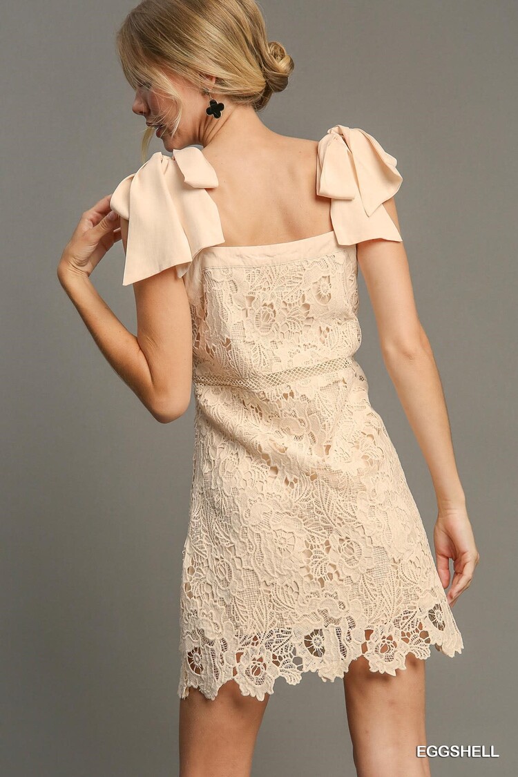 Umgee Lace Mini Dress