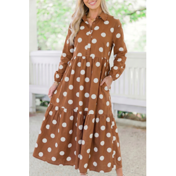 Polka Dot Button Front Long Sleeve Shift Dress