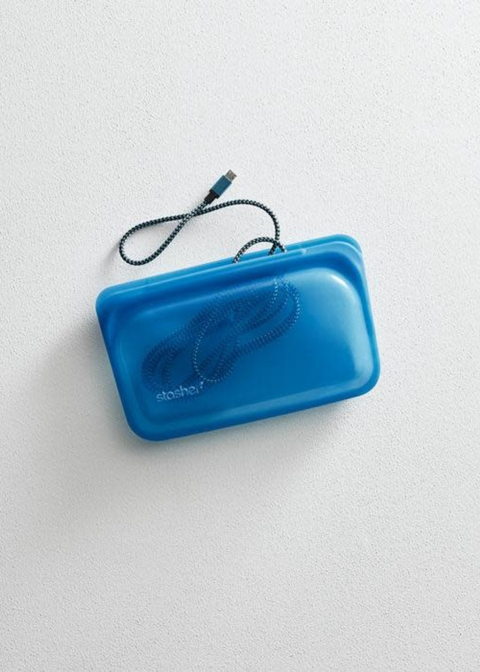 Snack Blueberry Stasher