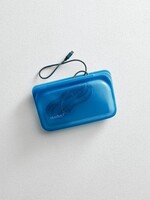 Sandwich Blueberry Stasher