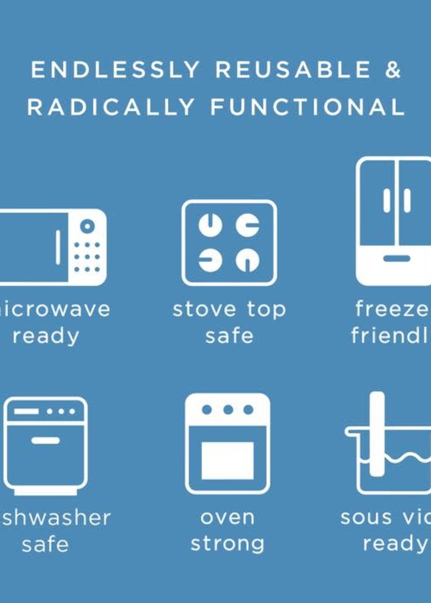 Sandwich Blueberry Stasher