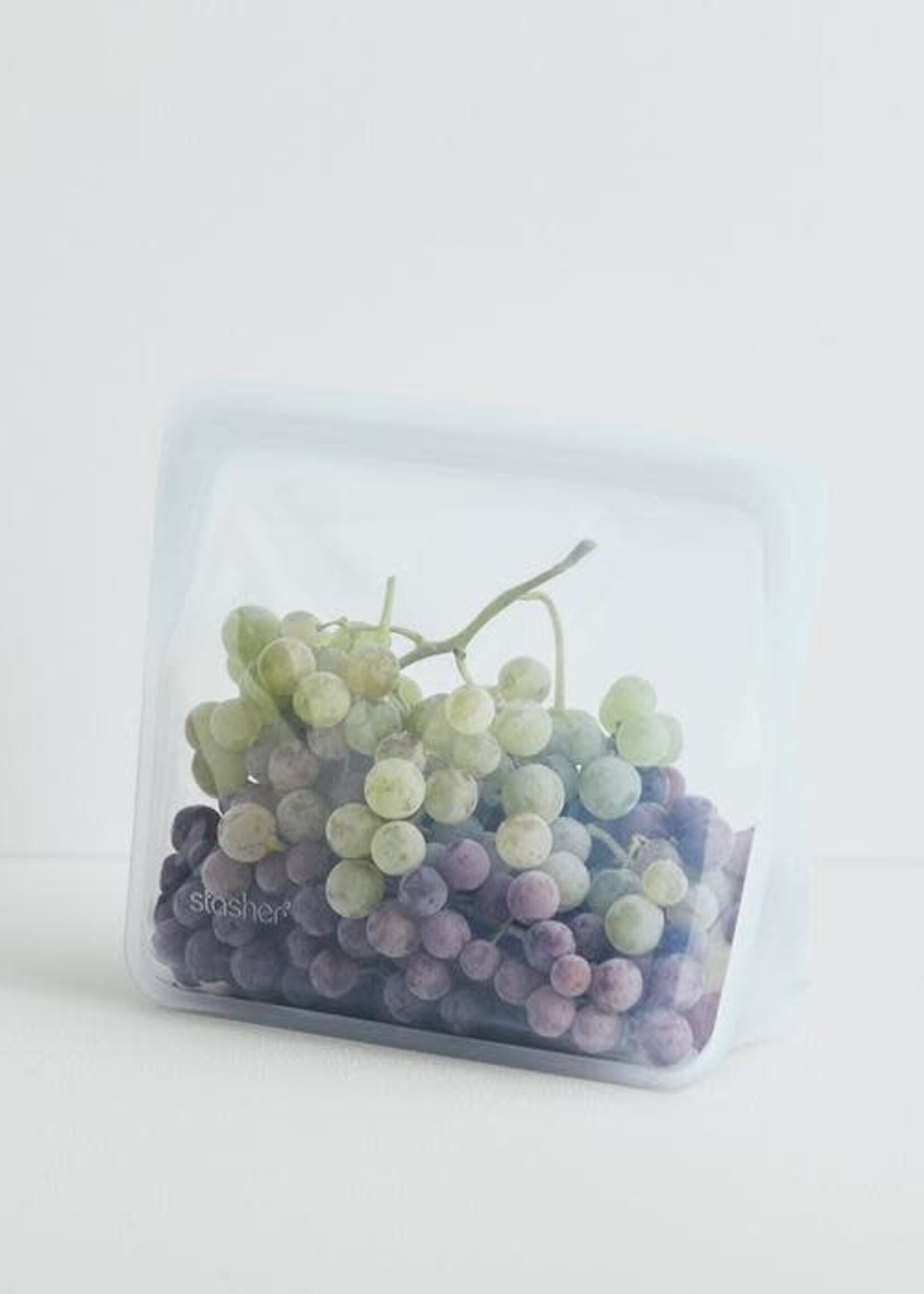 Stand-Up Clear Stasher
