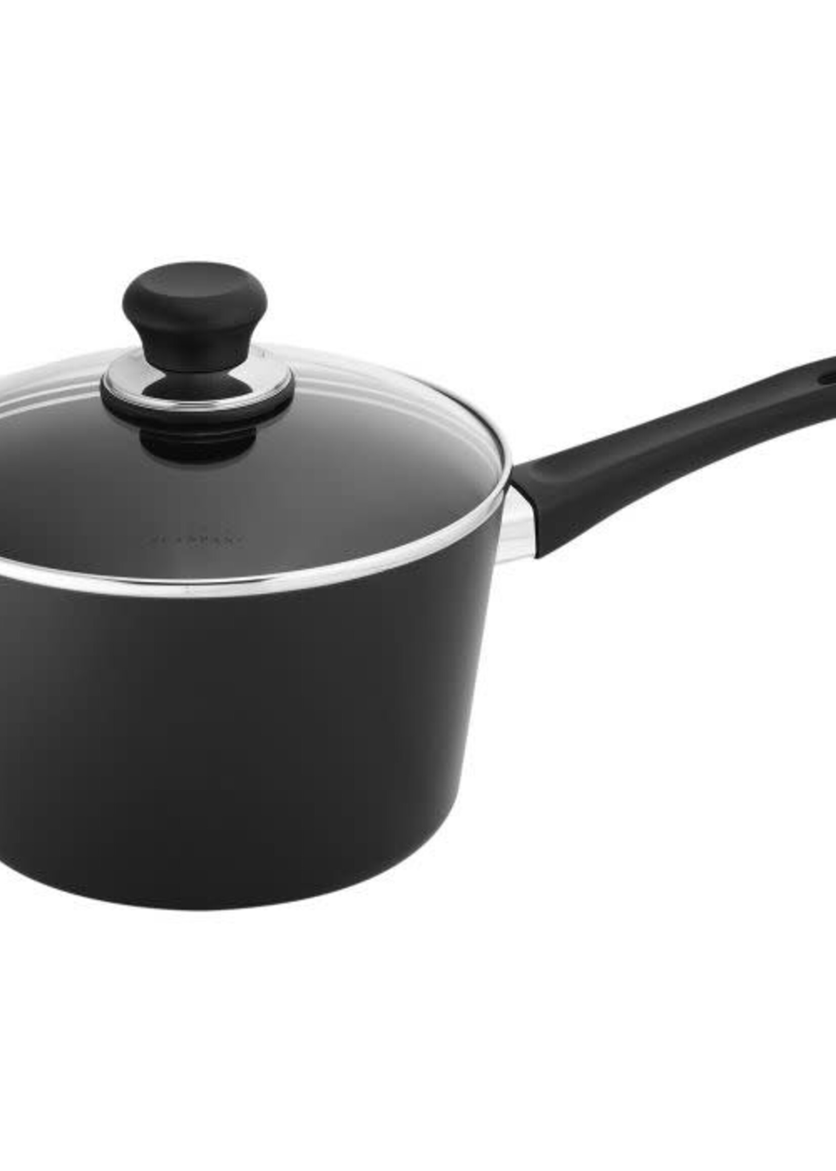 SCANPAN 3.2 Qt Induction Covered Saucepan Spring Promo