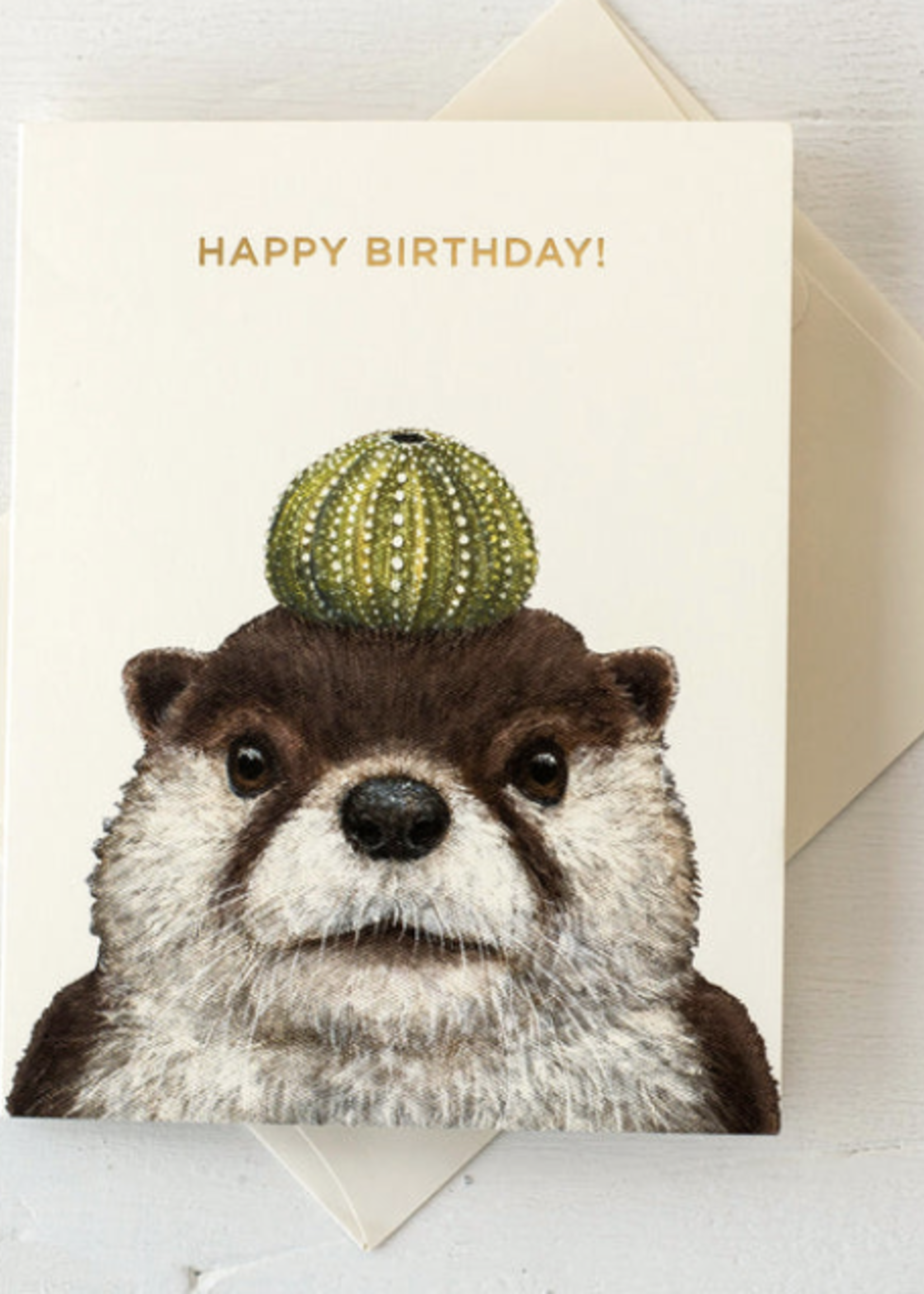 Hester & Cook Othello Otter Card "Happy Birthday"