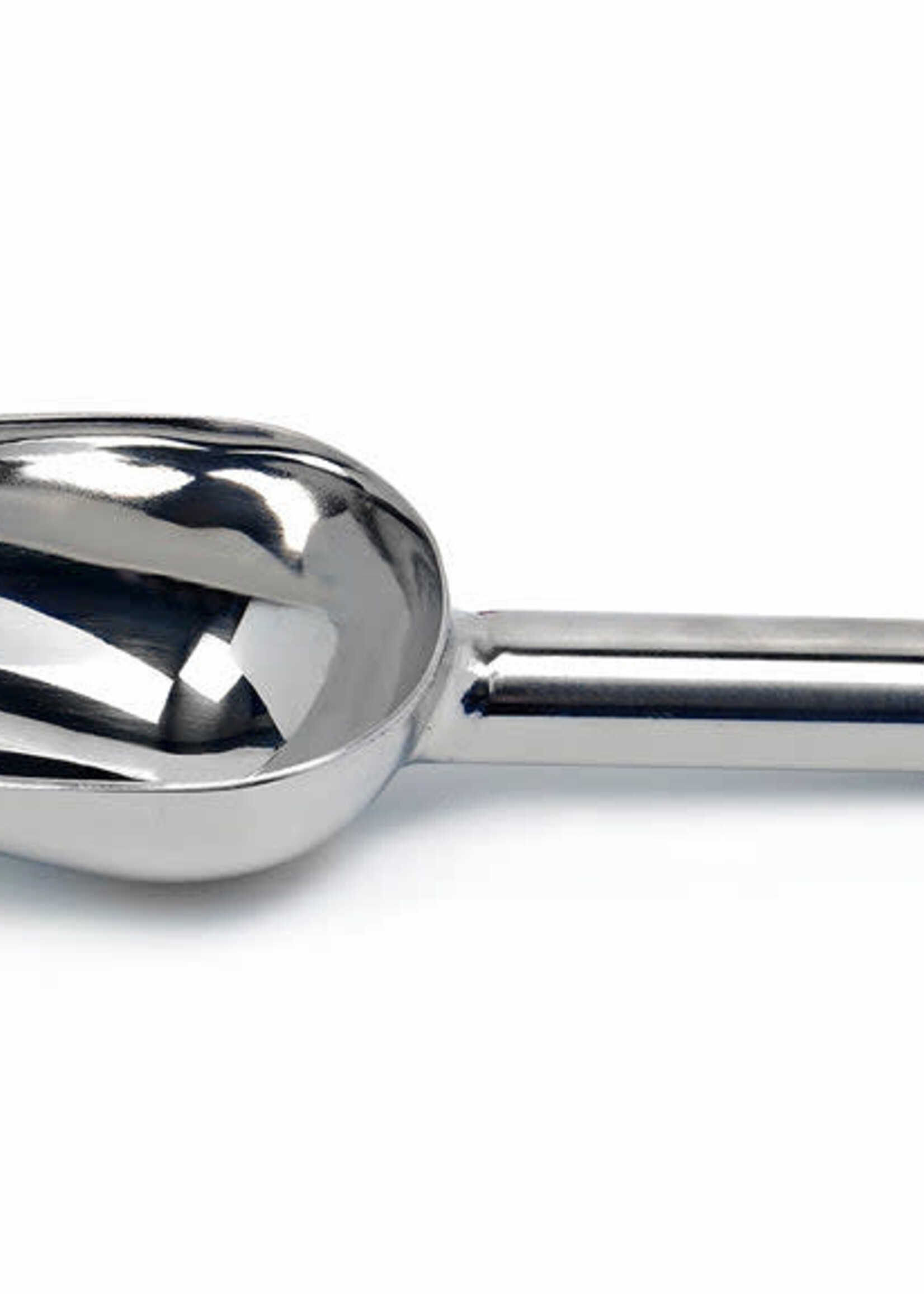 Scoop Small Stainless 1/4 c.
