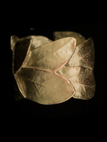 Antique Brass Pewter Bay Leaf Napkin Rings