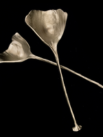 Pewter Ginkgo Spoons s/2