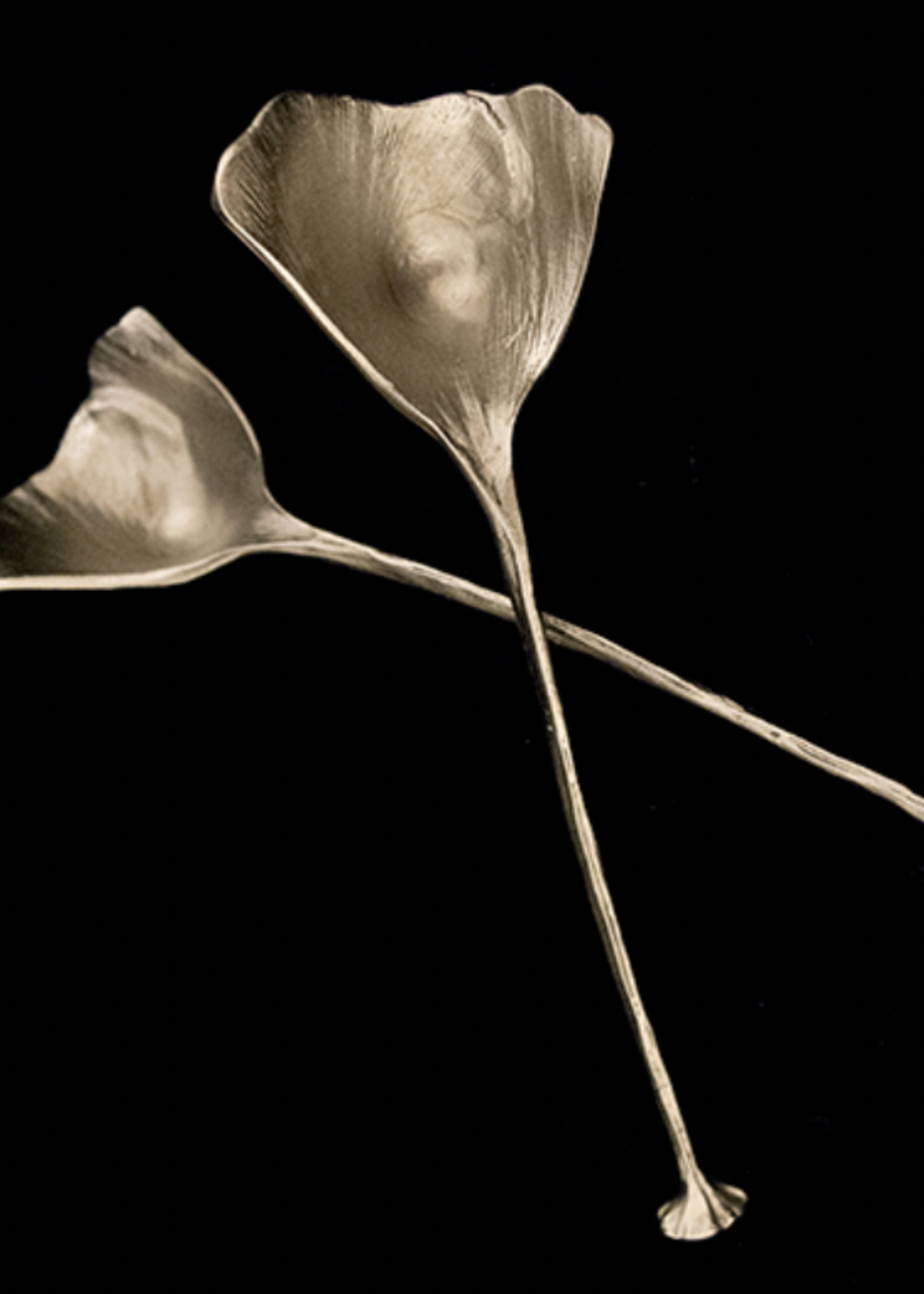 Pewter Ginko Spoons s/2