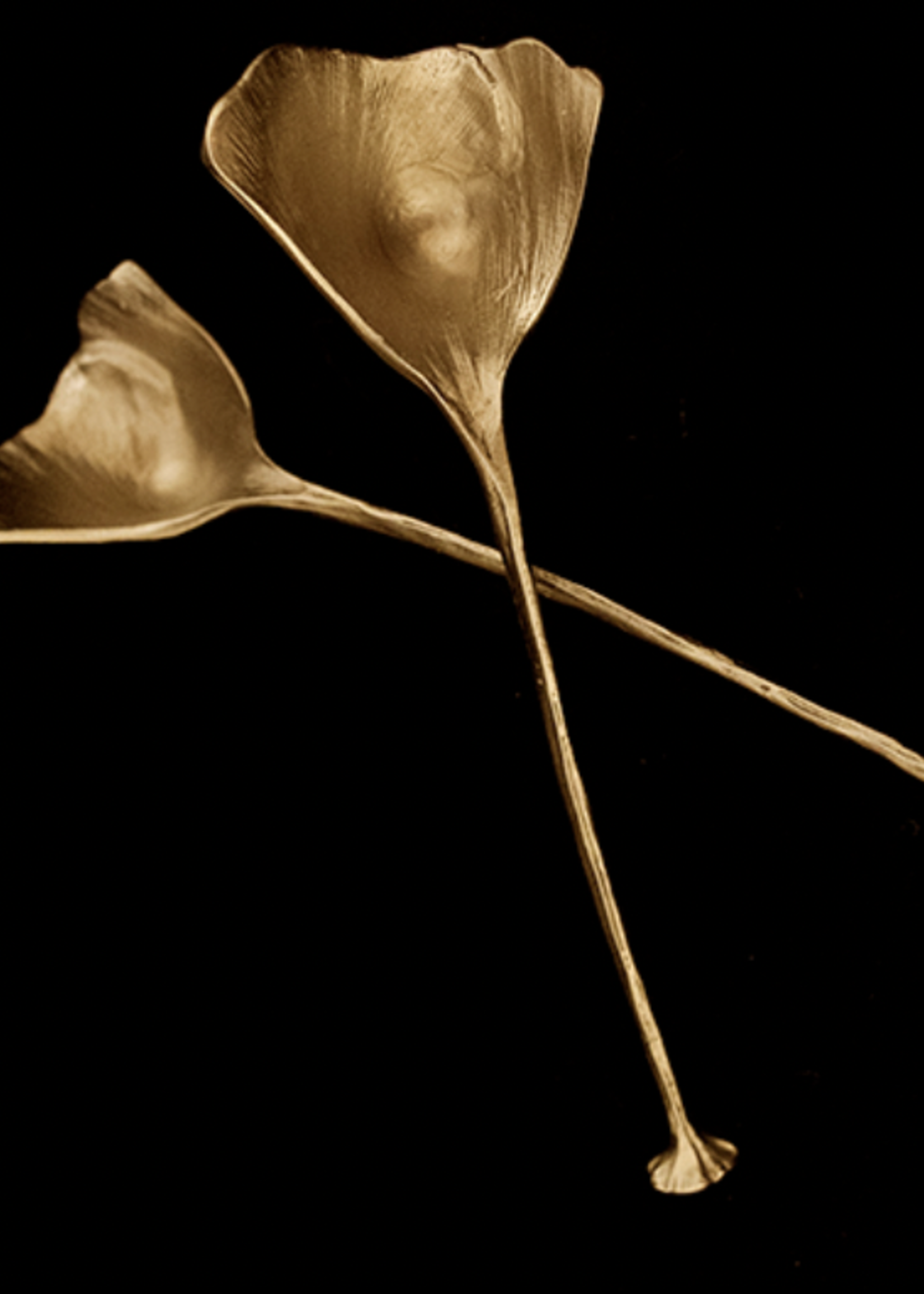 Antique Brass Finished Pewter Ginkgo Spoons s/2
