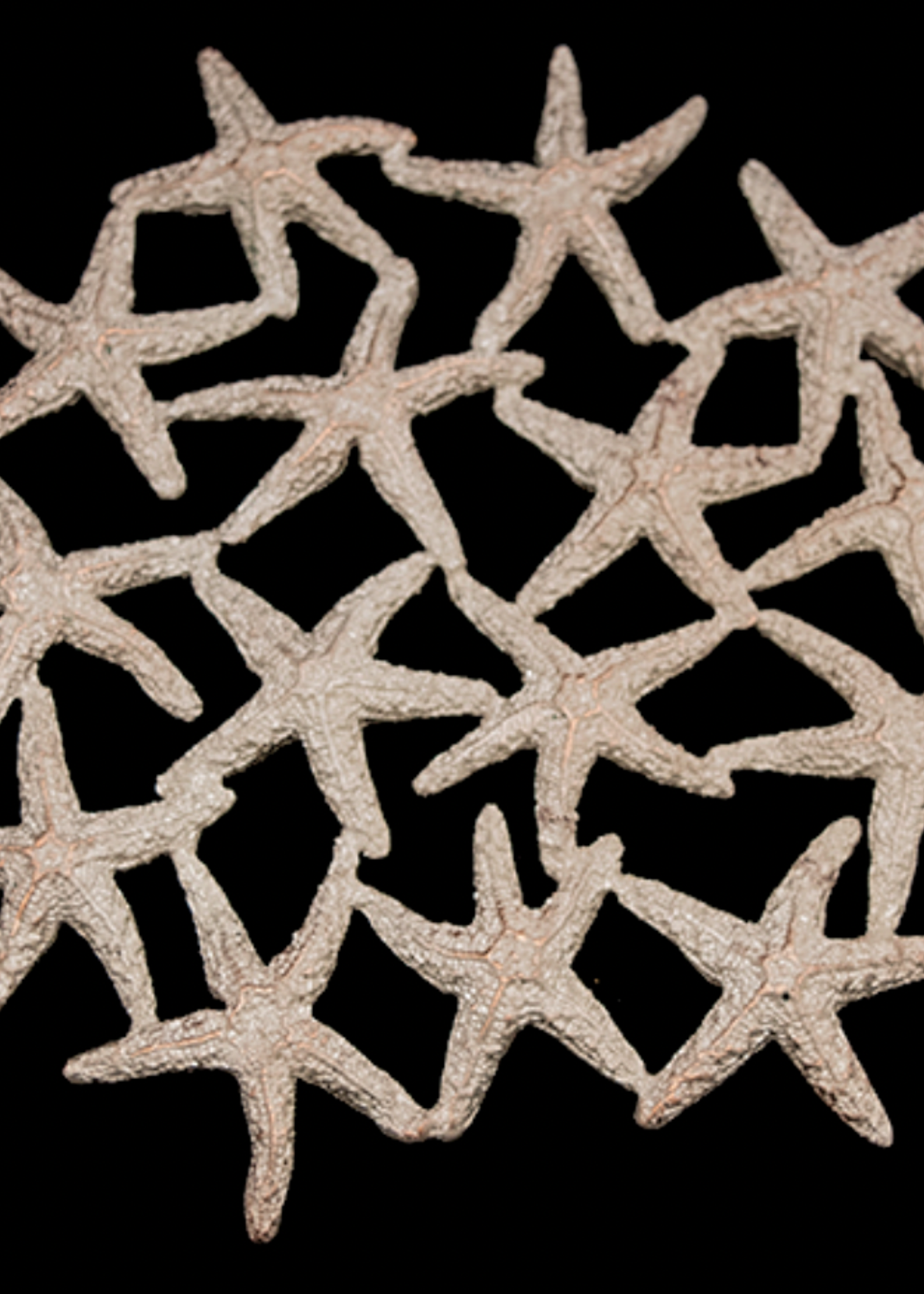Pewter with Silver over Copper Starfish Trivet