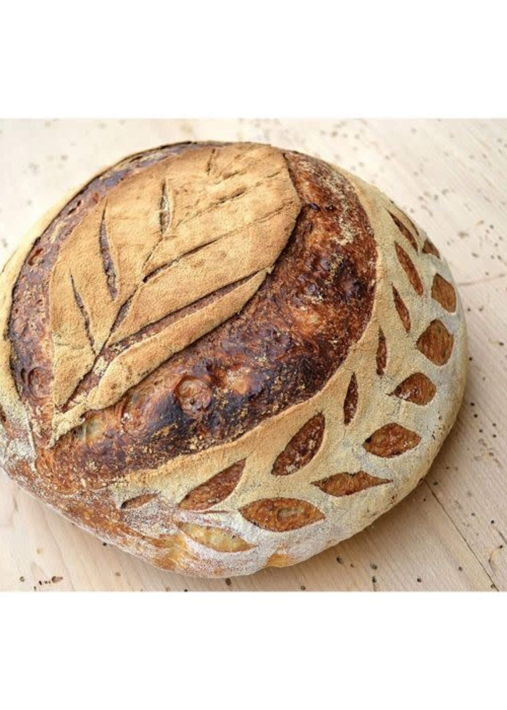 Artisan Bread Lame