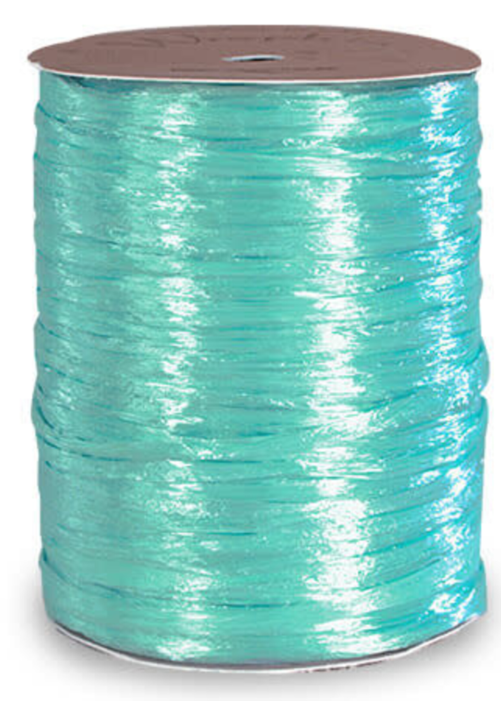 Pearlized Robbins Egg Raffia