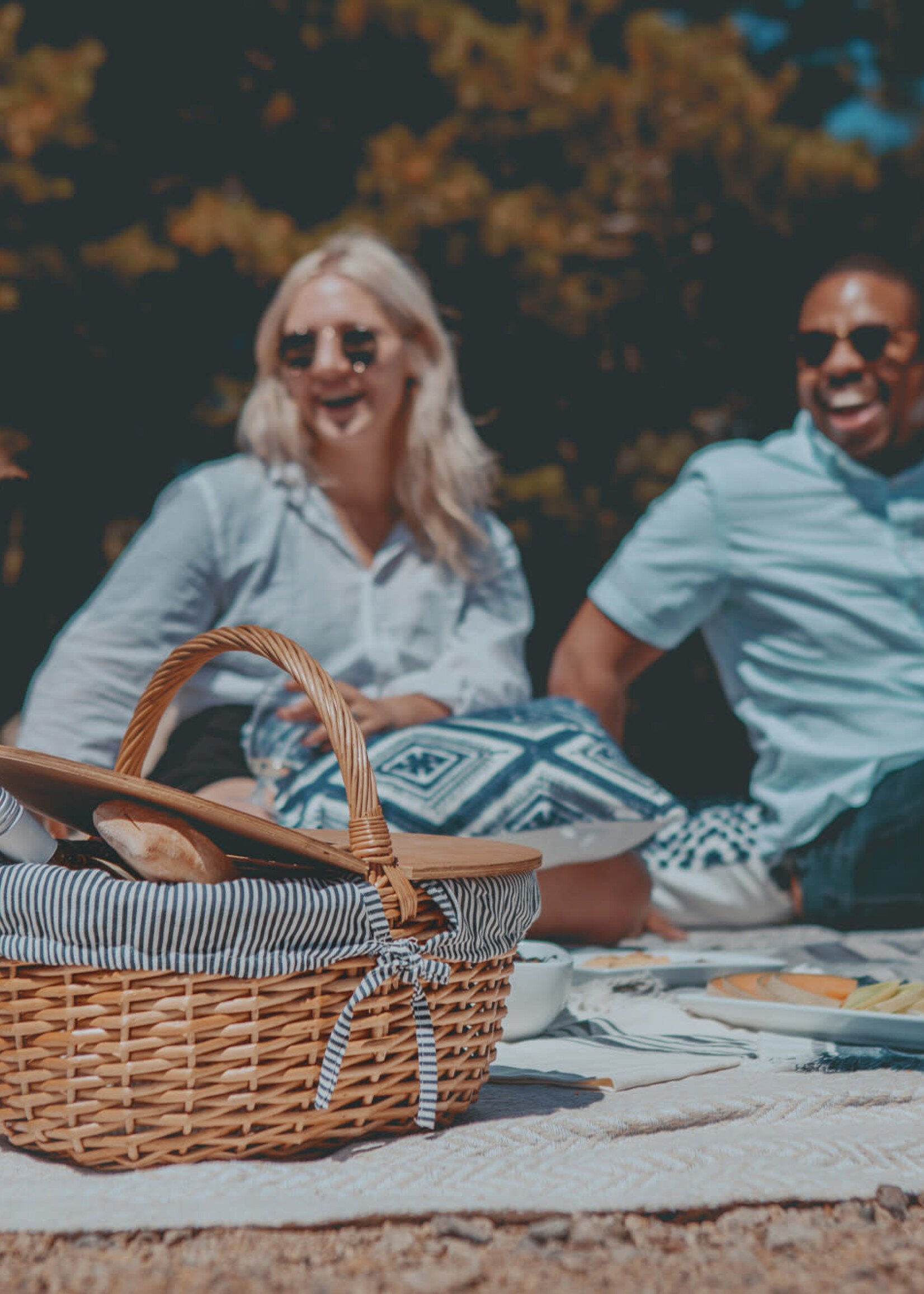 Picnic Time Country Basket - Navy Blue & White Stripe