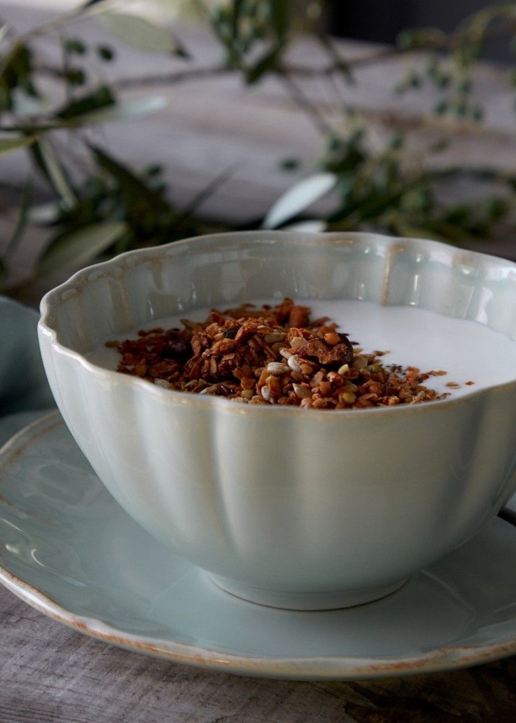 Alentejo White Soup/Cereal