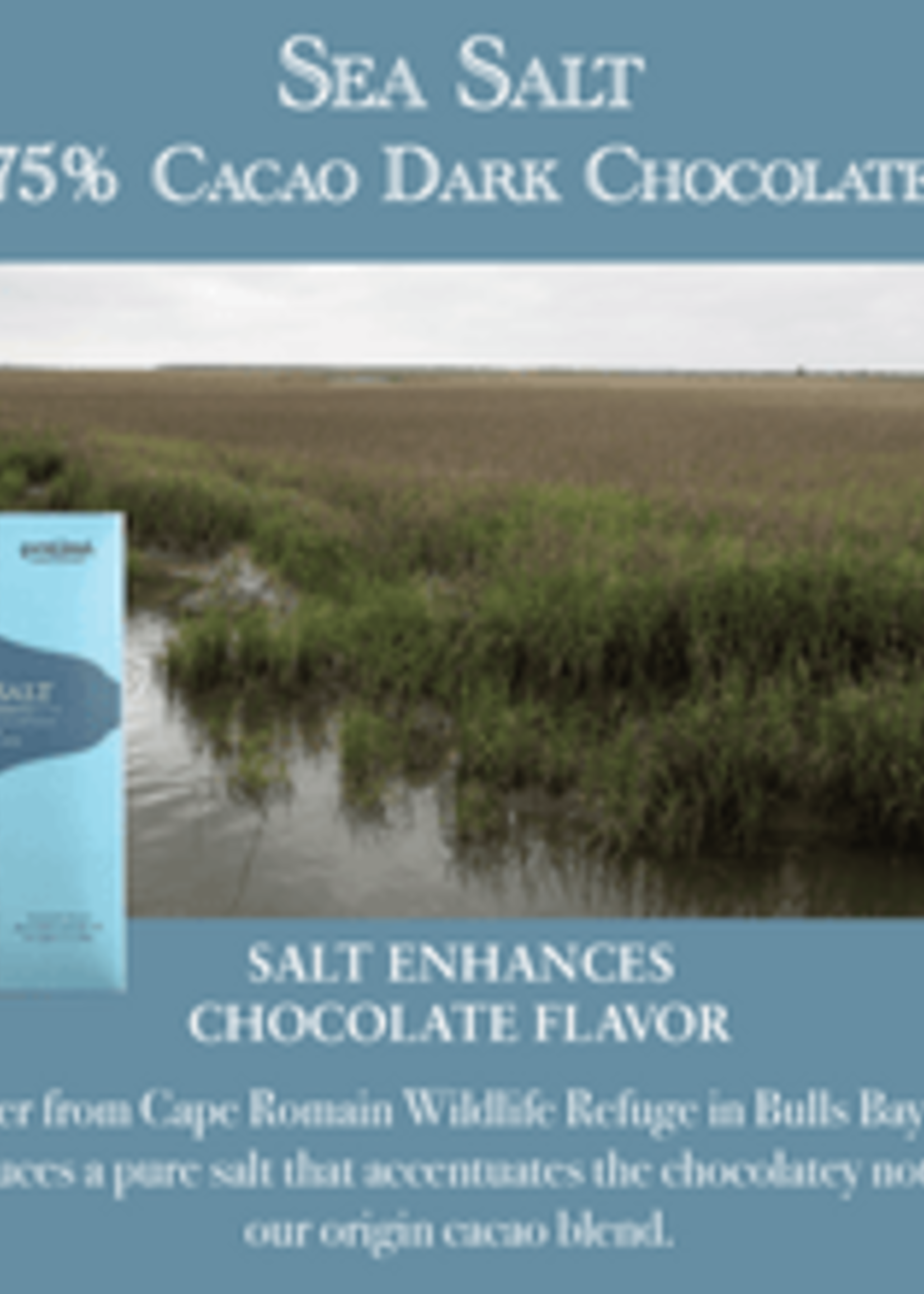 French Broad Chocolates 28g Sea Salt Dark Chocolate Bar