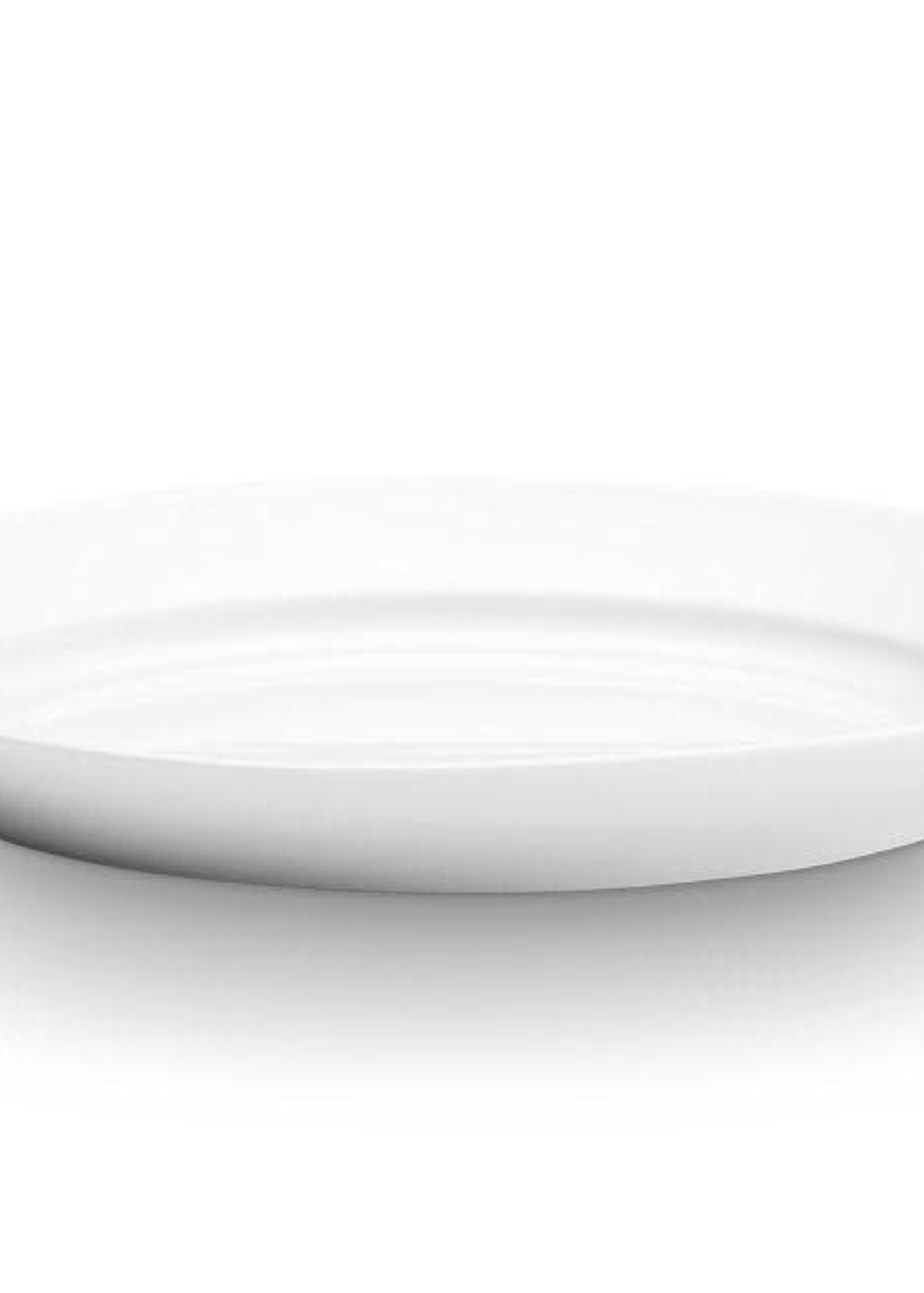 Pillivuyt Oval Serving Platter, Extra Large 17.75 x 11.75"