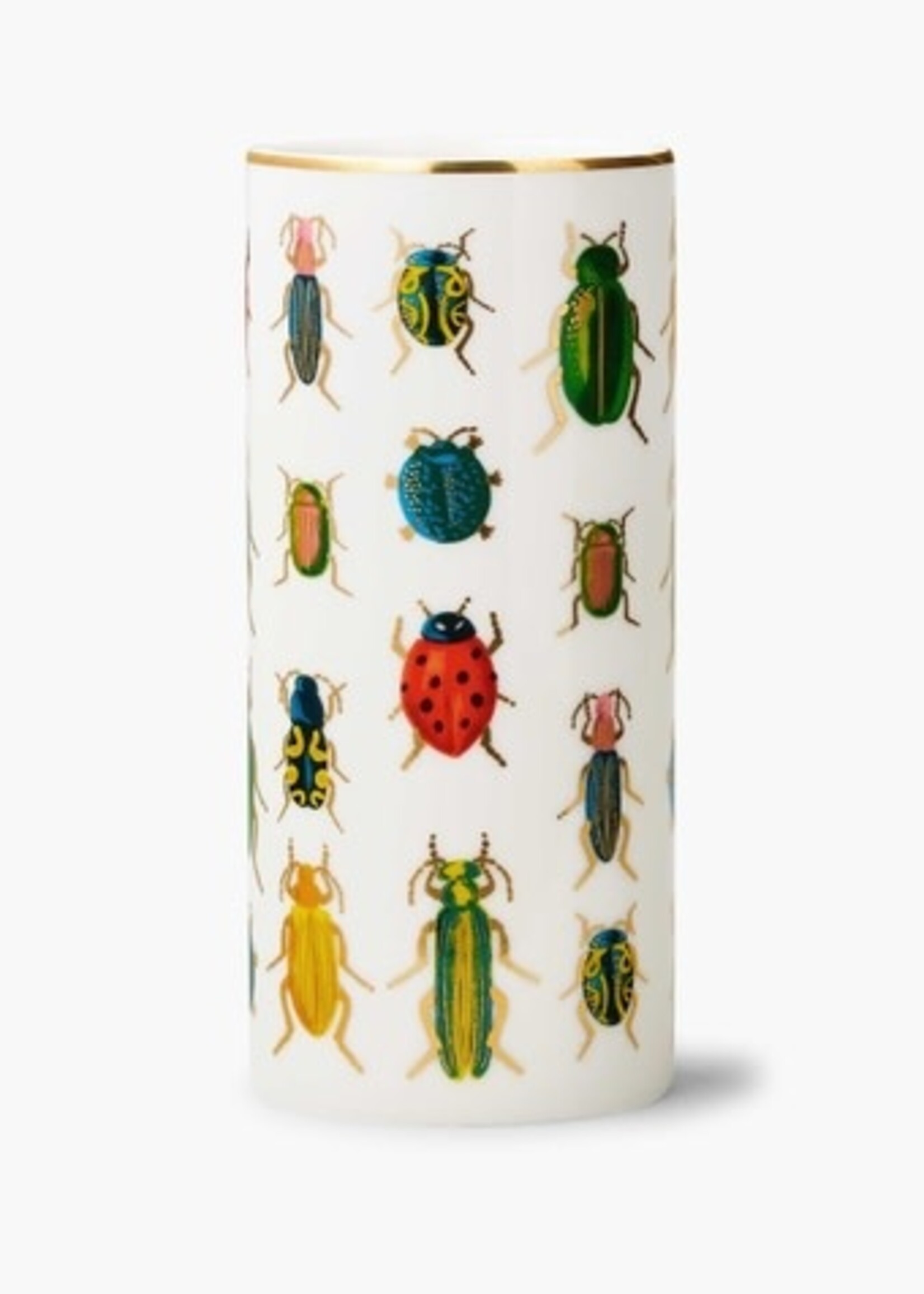 Rifle Paper Vase (Beetles & Bugs)