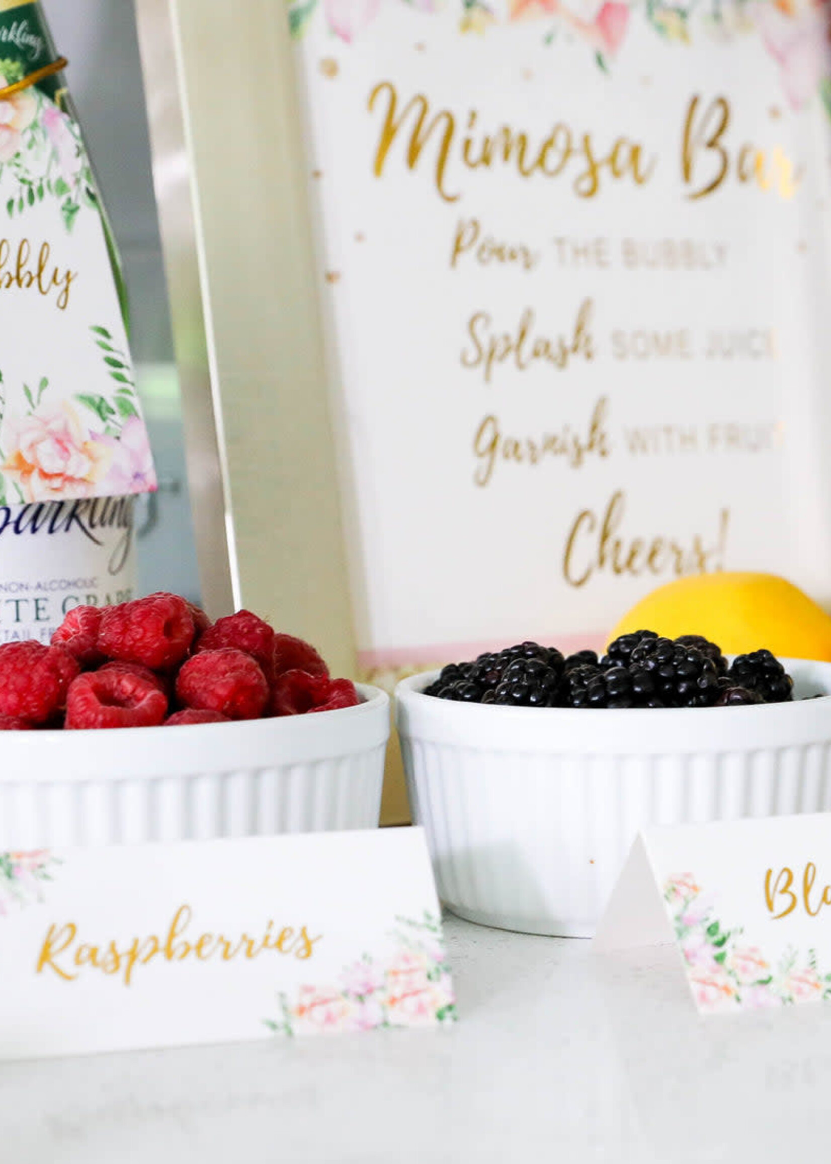 Mimosa Bar Decor Kit