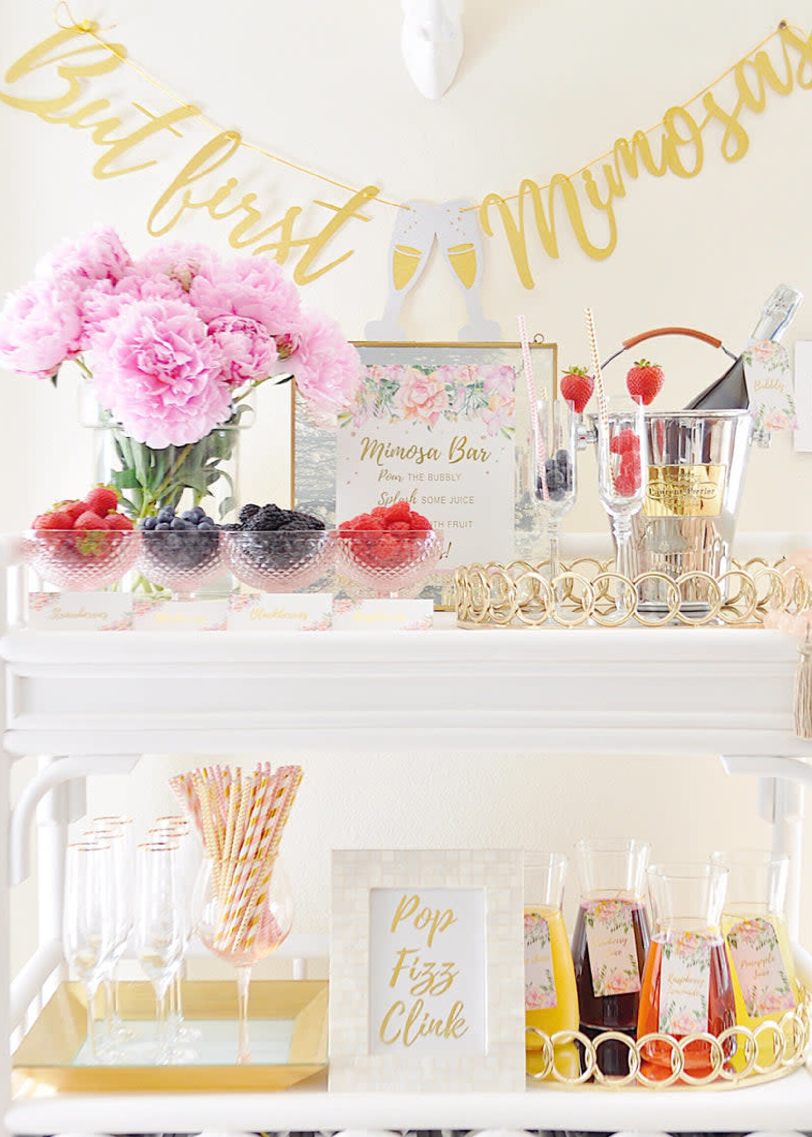 Cotier Mimosa Bar Decor Kit