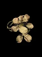 Table Art Collection Pewter Clover Napkin Rings with Brass Finish S/4