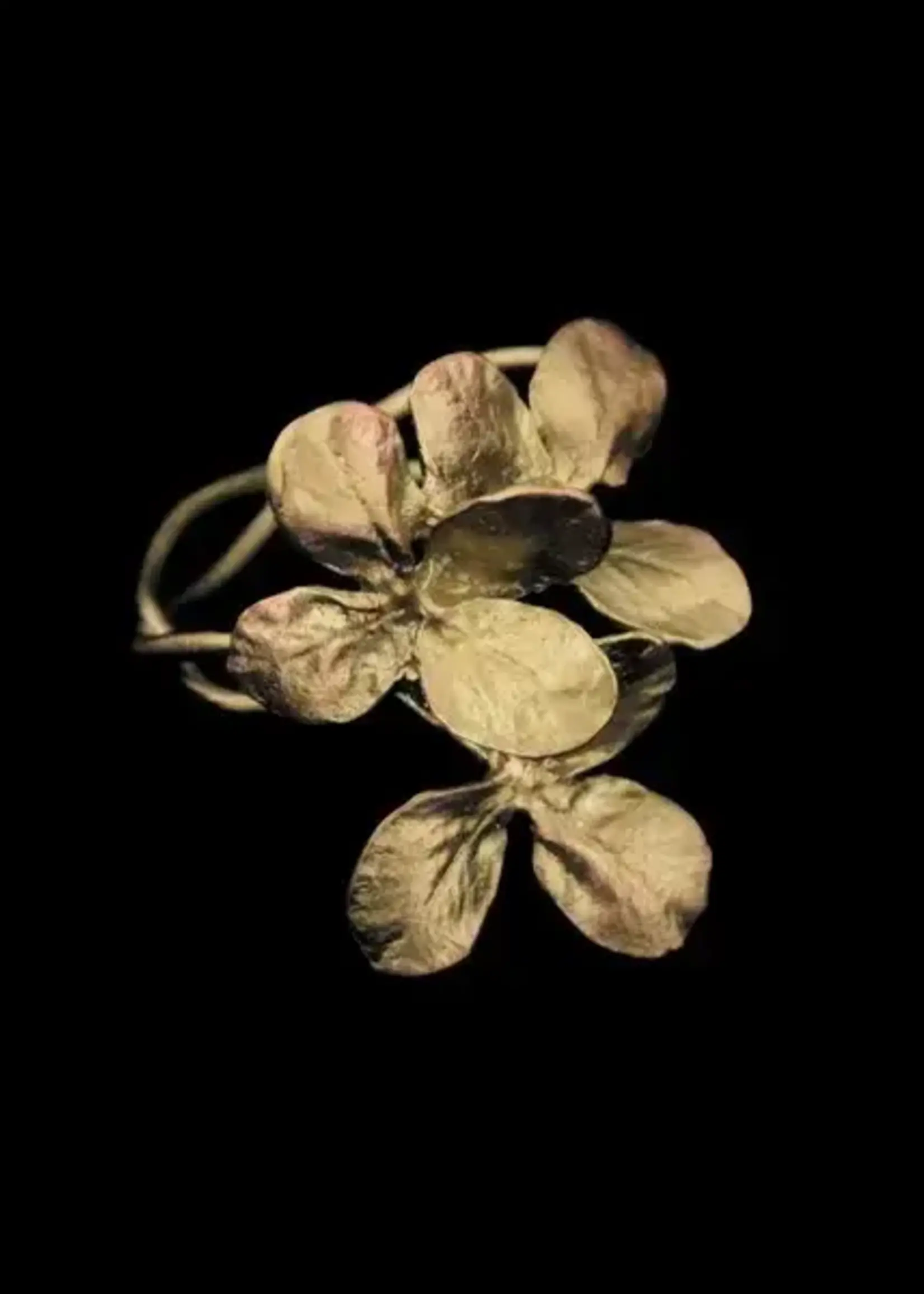 Pewter Clover Napkin Rings with Brass Finish S/4