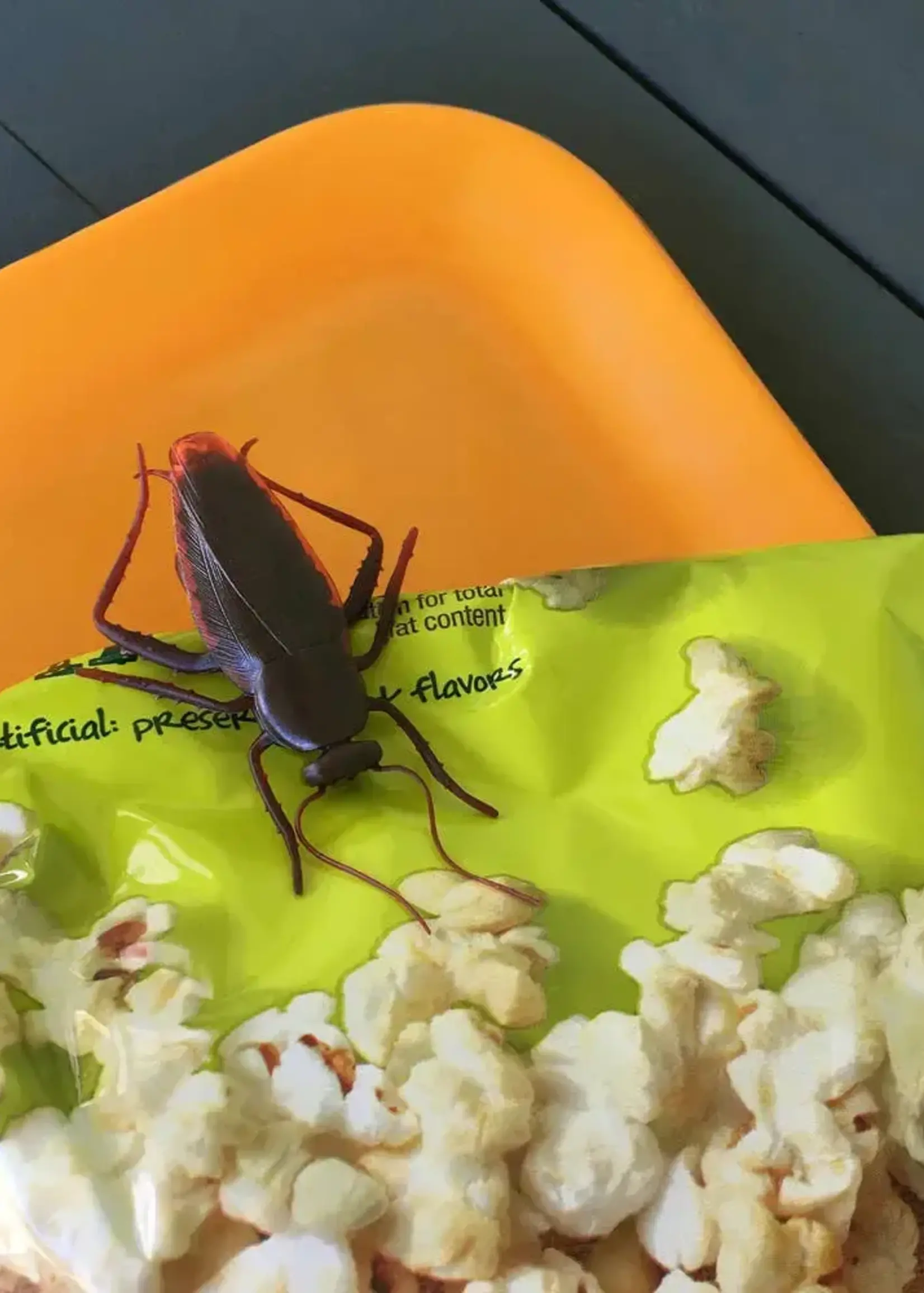 Bag Clips : Roach Clips