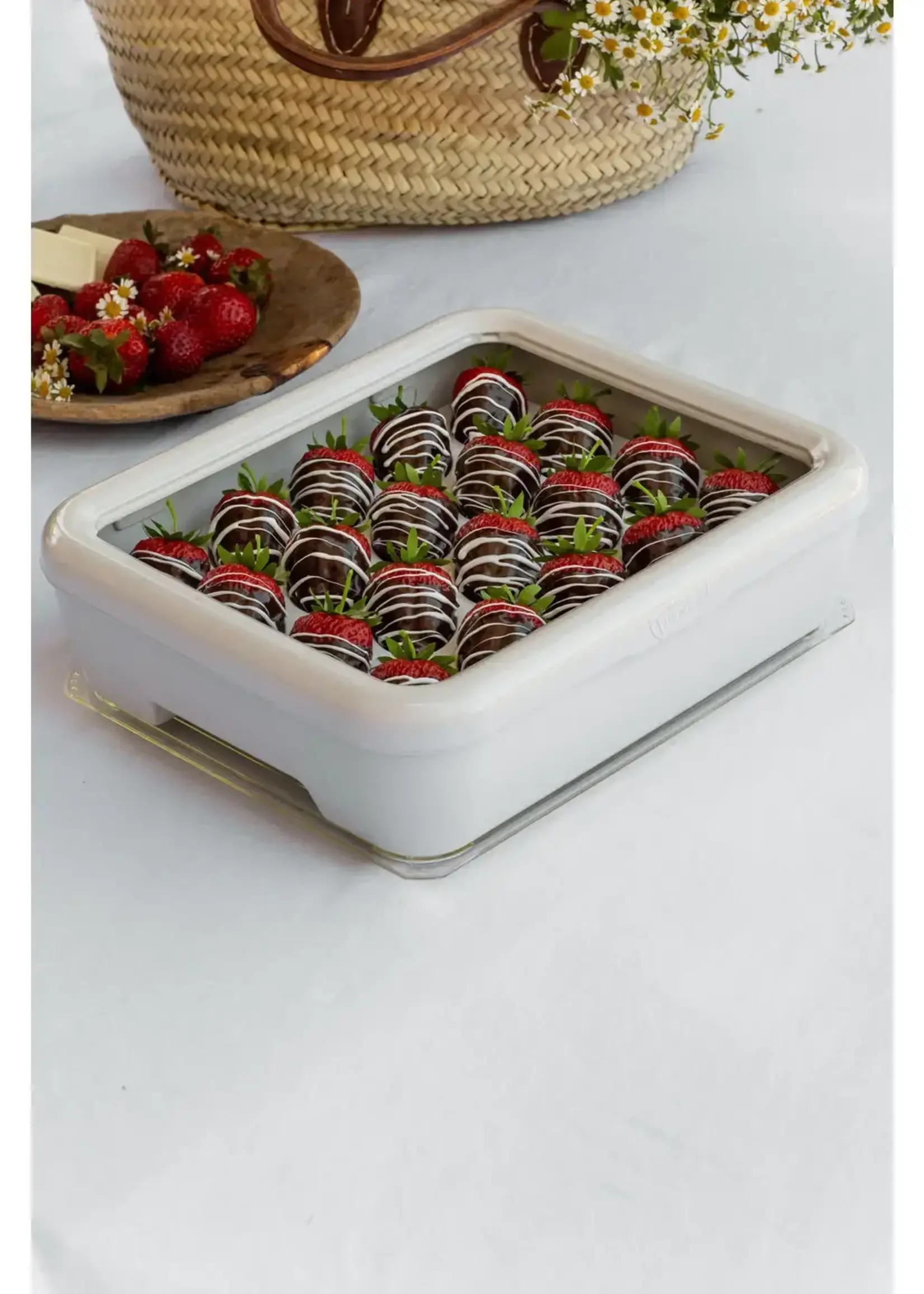 Deviled Egg Trayz Insert