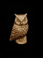 Screech Owl Box Retired