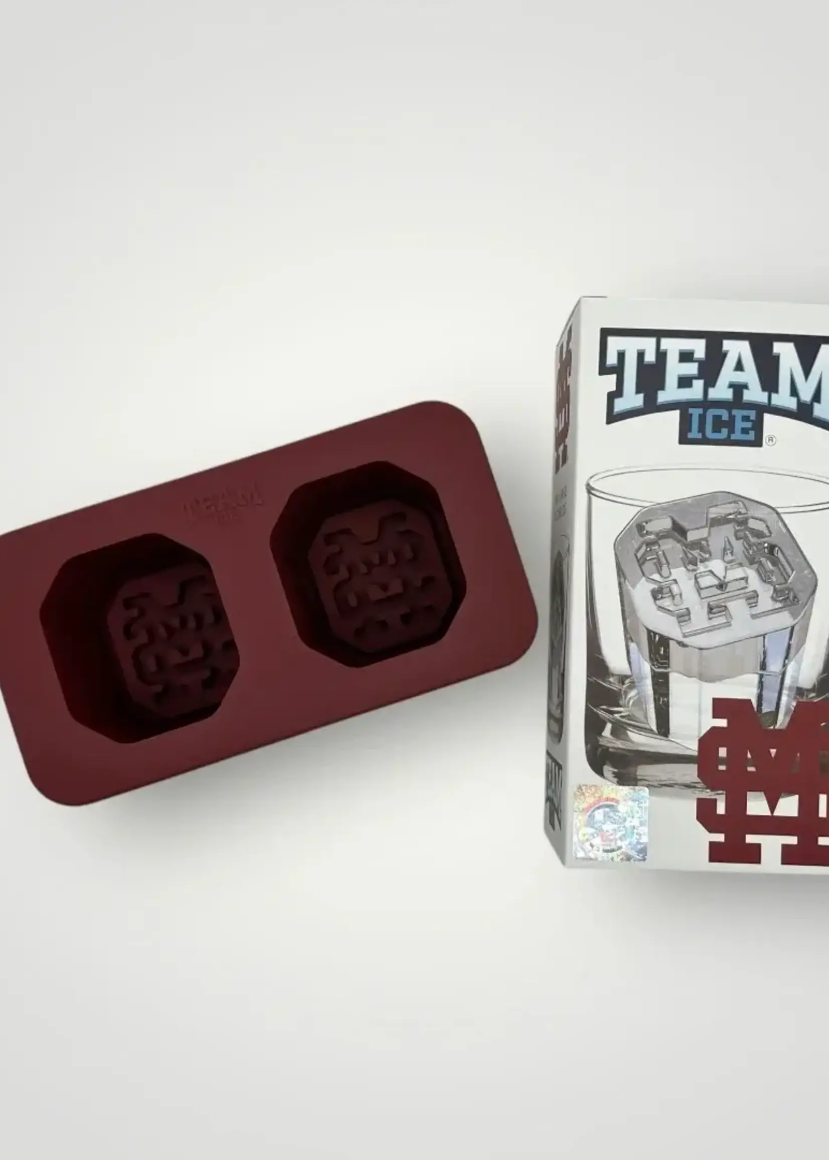 Team Ice LLC Ice Mold