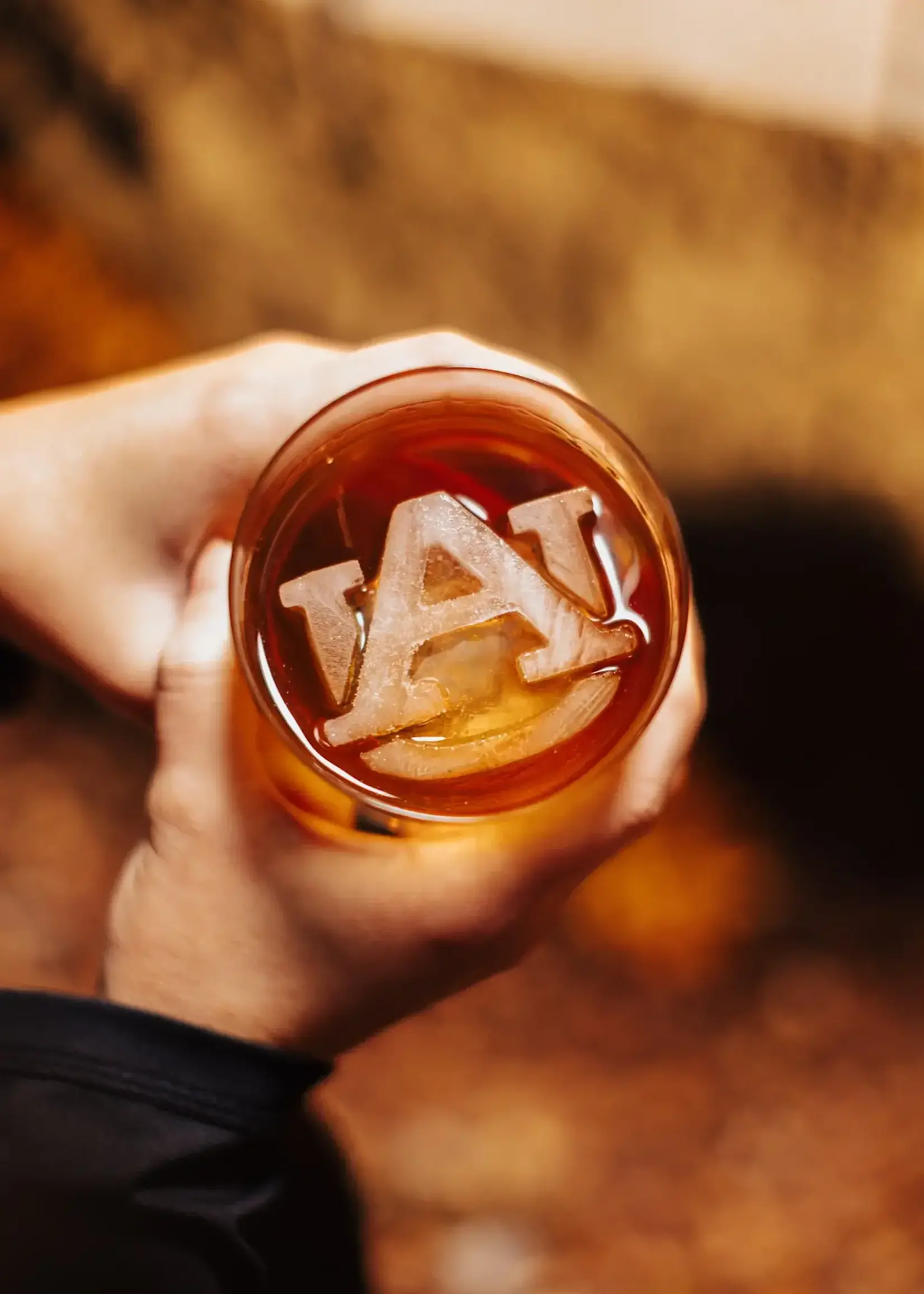 Team Ice LLC Ice Mold