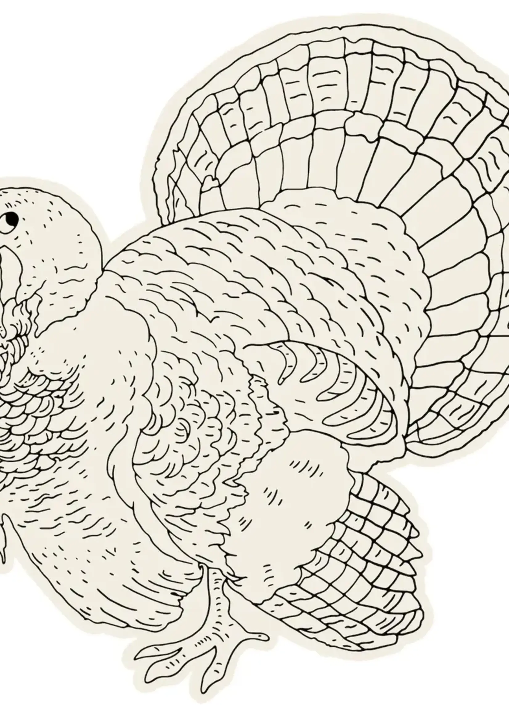 Hester & Cook Die Cut Coloring Turkey Placemat - 12 Sheets