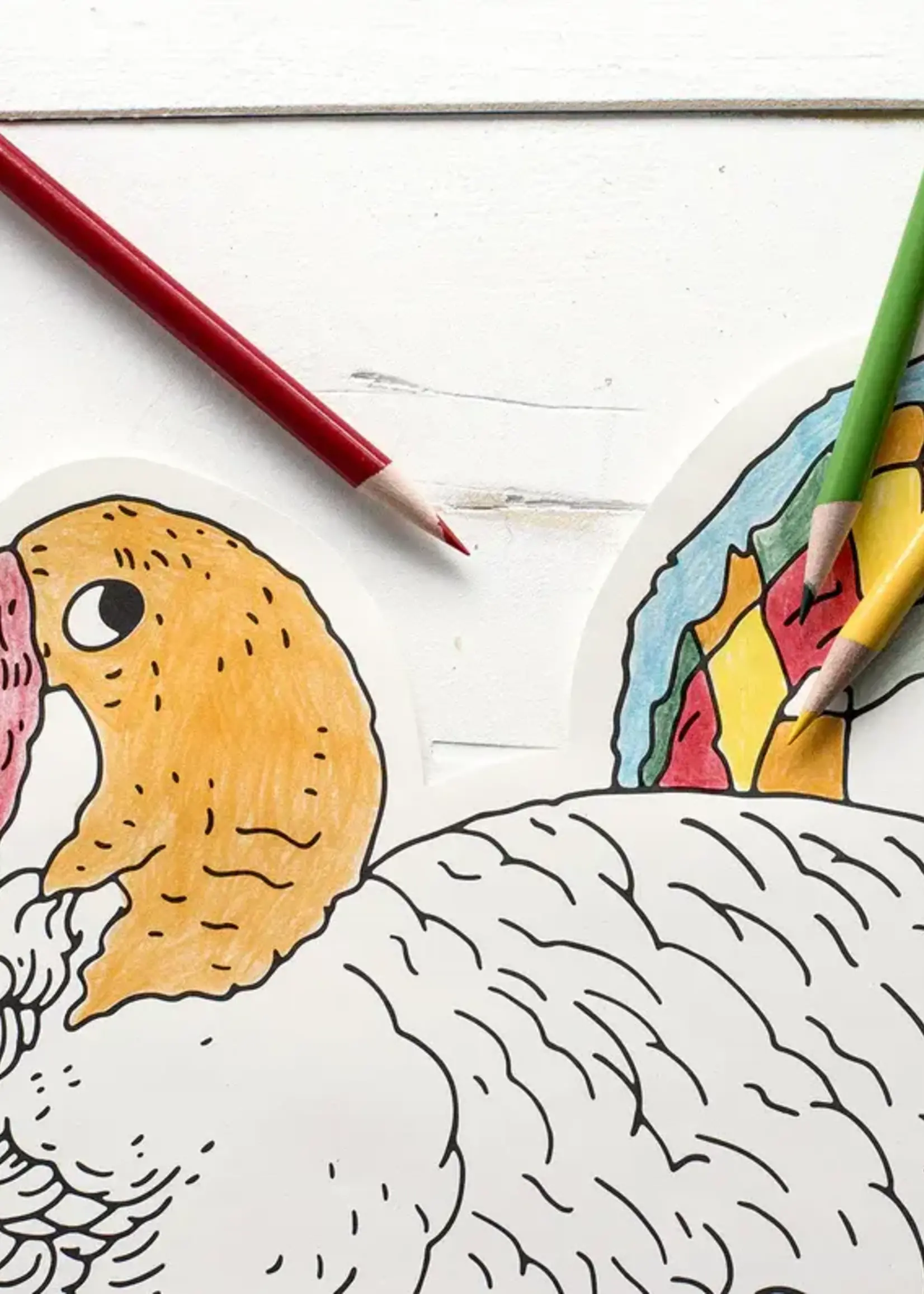 Hester & Cook Die Cut Coloring Turkey Placemat - 12 Sheets