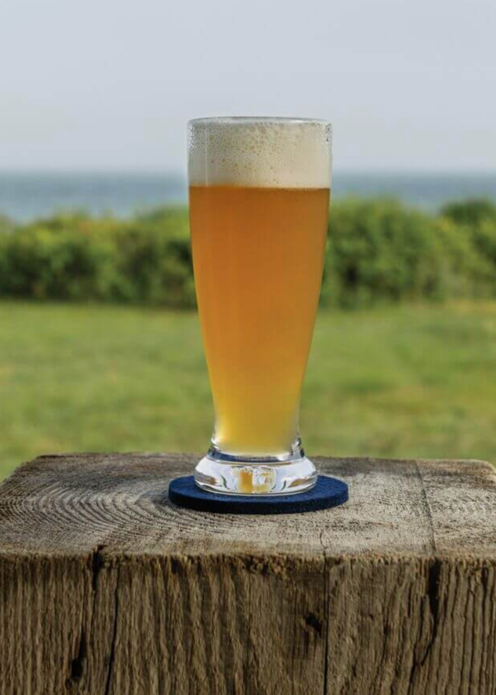 Simon Pearce Ascutney Pilsner