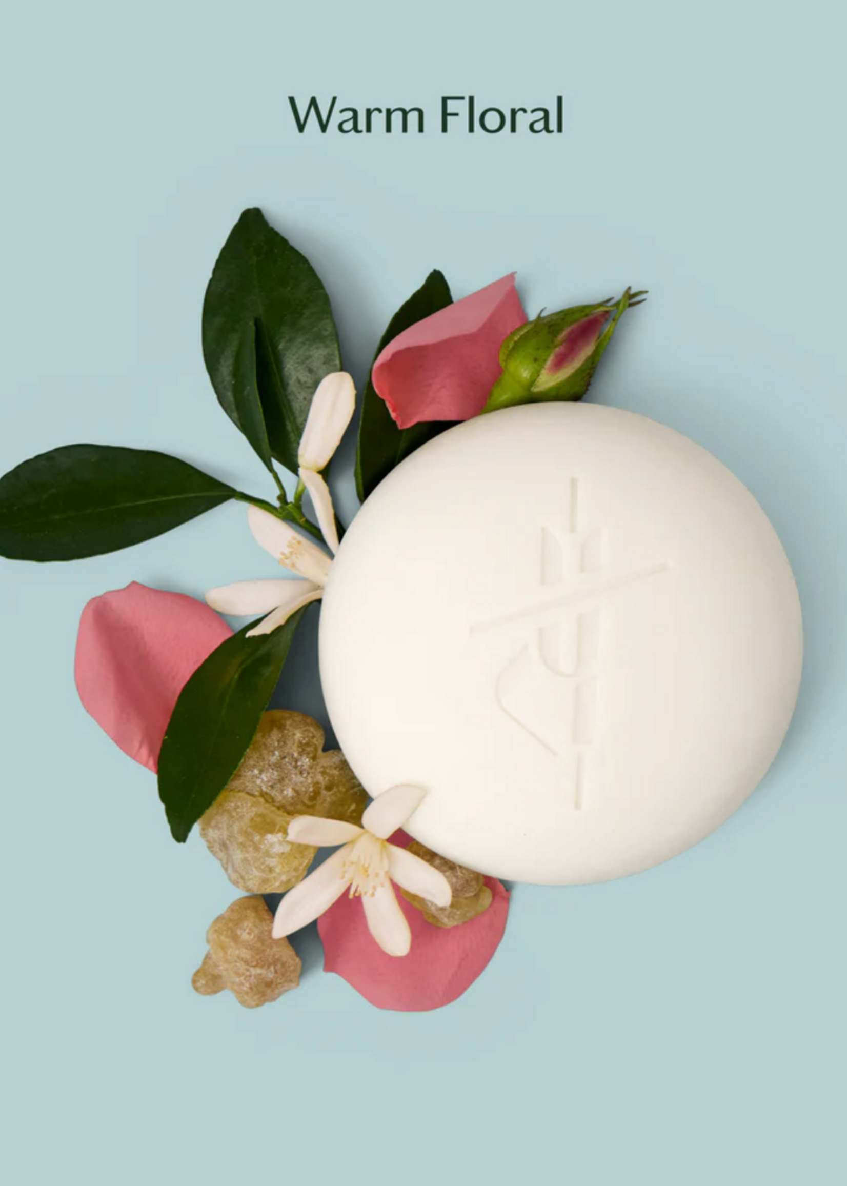 Kate McLeod Daily Stone -- Deep Moisturizing Lotion Bar Starter Kit