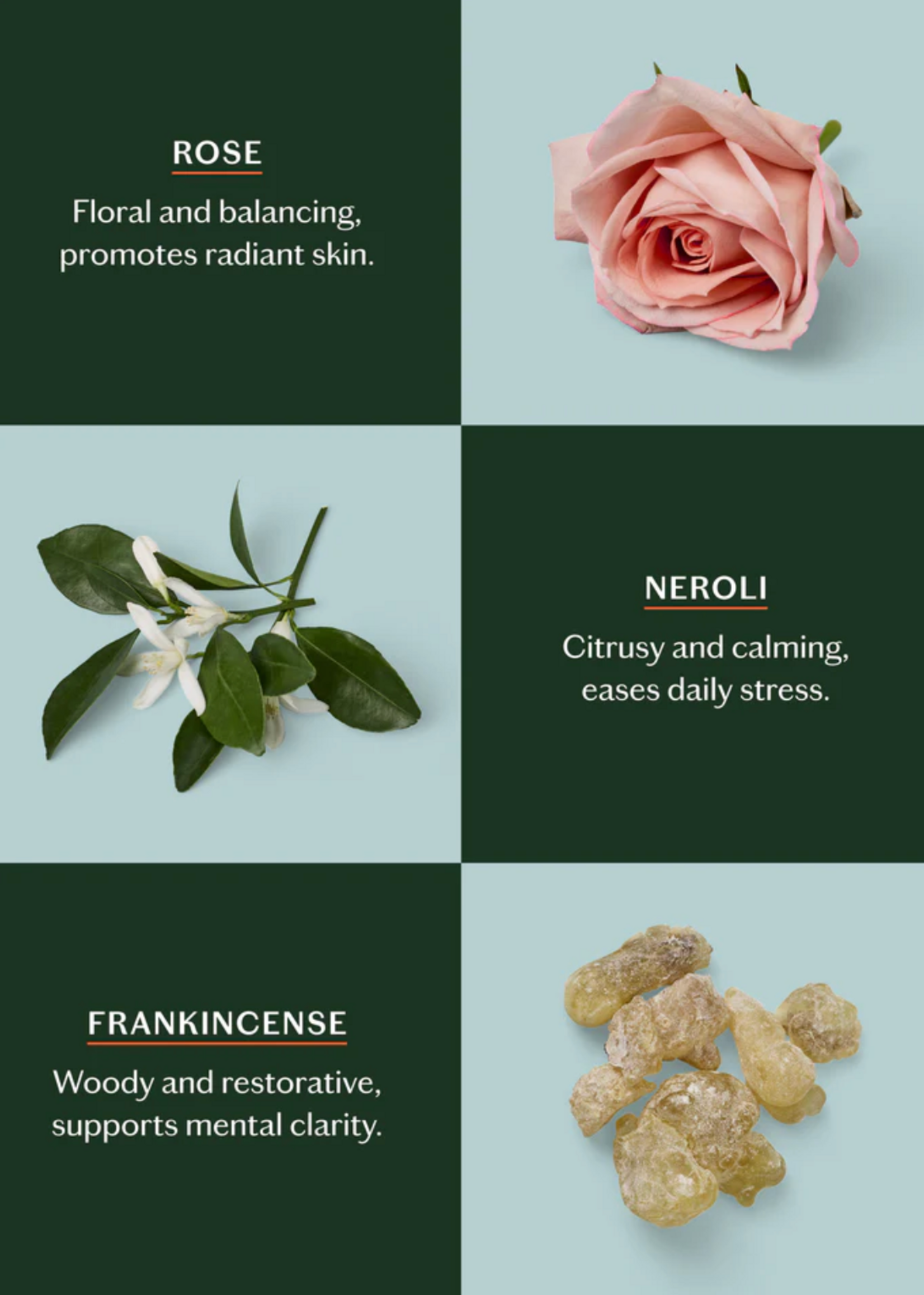 Kate McLeod Daily Stone Lotion Bar Refill