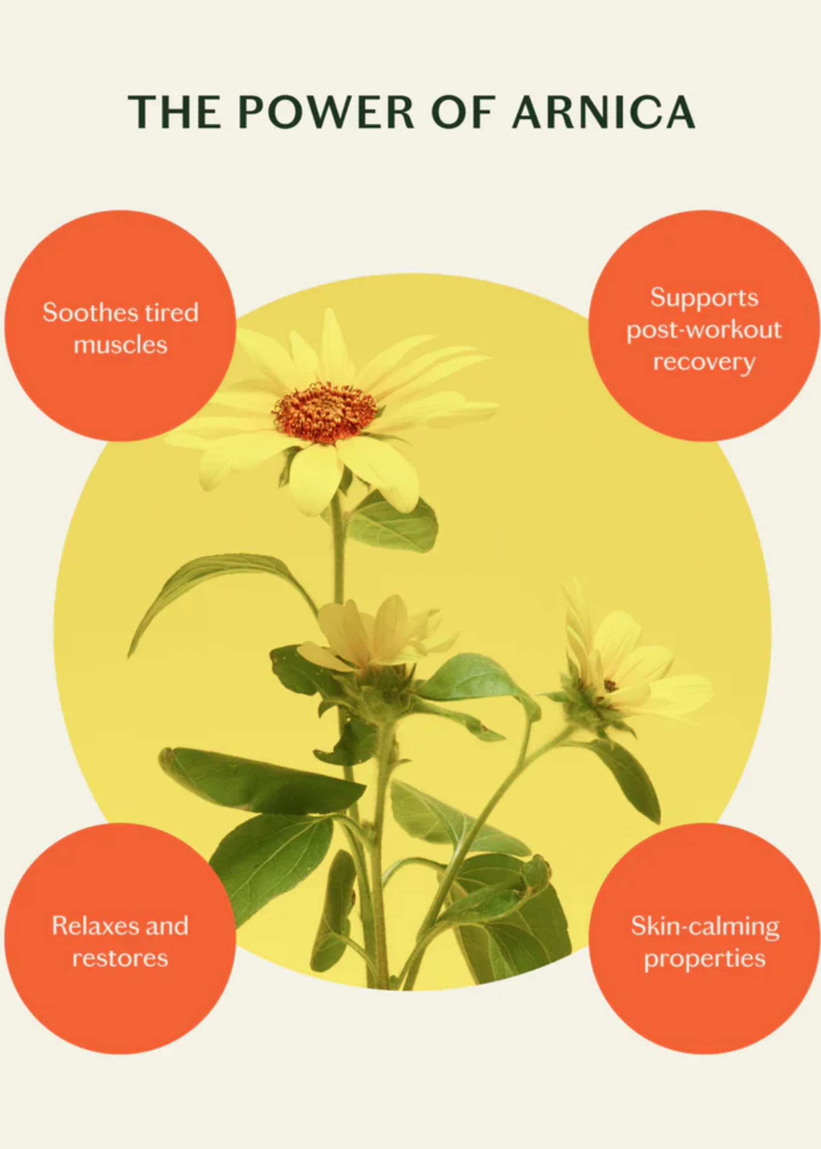 Kate McLeod Recovery Stone -- Soothing Muscle Balm