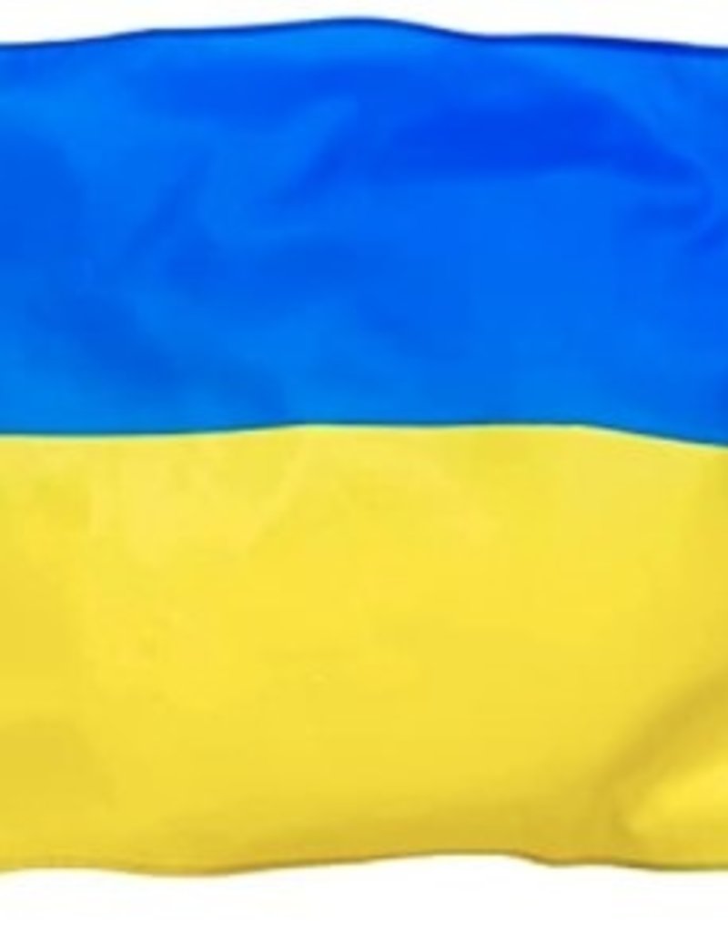 Ukraine Nylon Flag