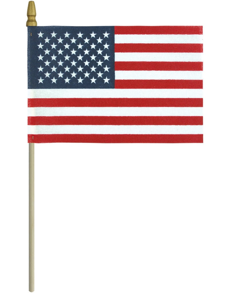 USA No Fray with Gold Spear Flag