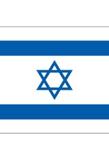 Israel Nylon Flag